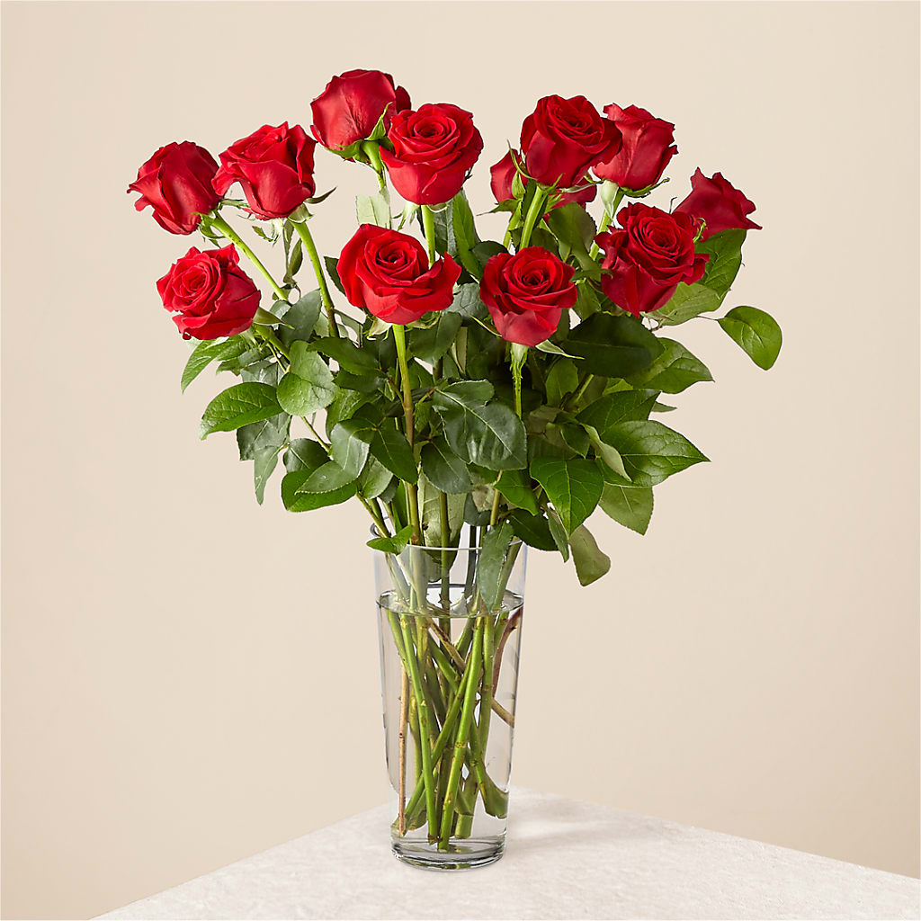 Long Stem Red Rose Bouquet – Fox Run Florist, Pinellas Park FL