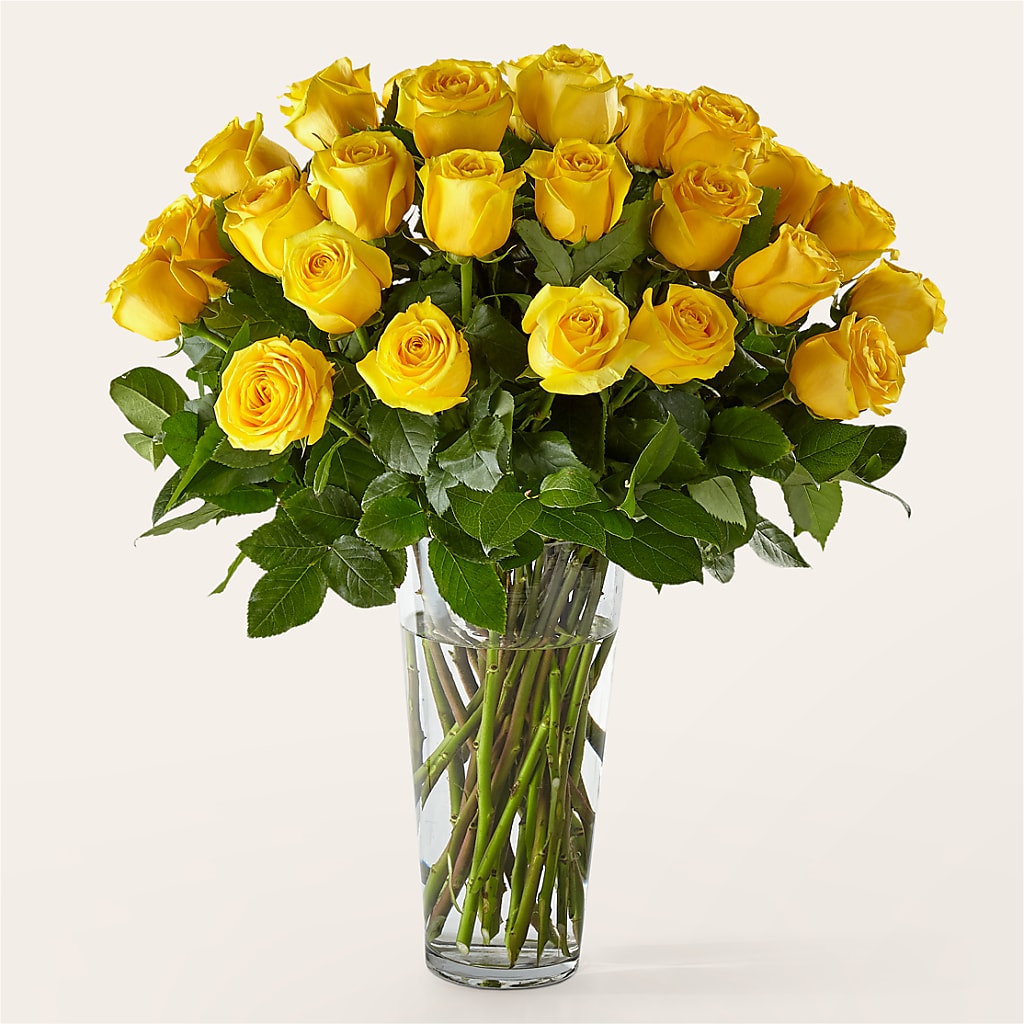 Long Stem Yellow Rose Bouquet – Fox Run Florist, Pinellas Park FL
