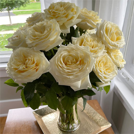 Long Stem Yellow Rose Bouquet – Fox Run Florist, Pinellas Park FL