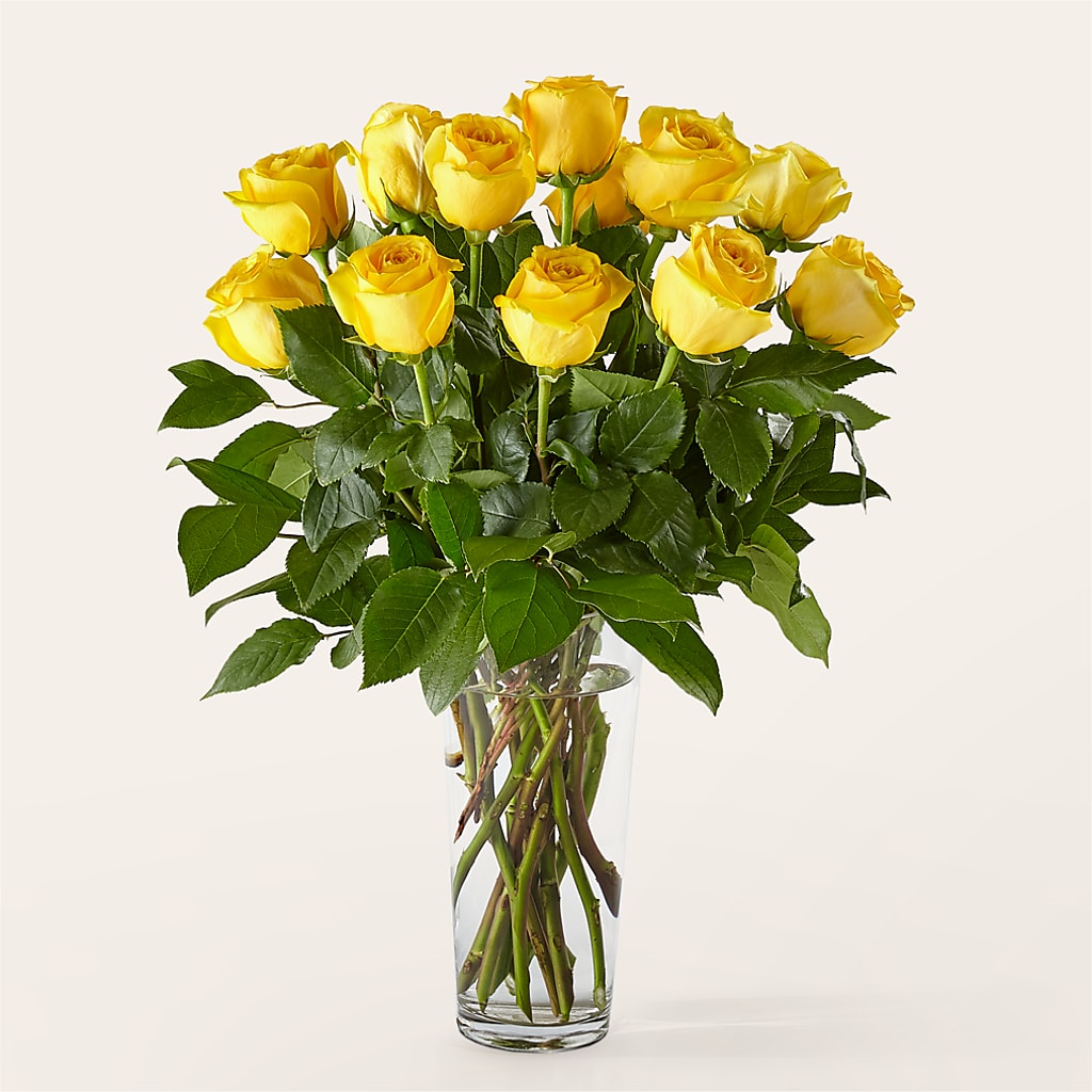 Long Stem Yellow Rose Bouquet – Fox Run Florist, Pinellas Park FL