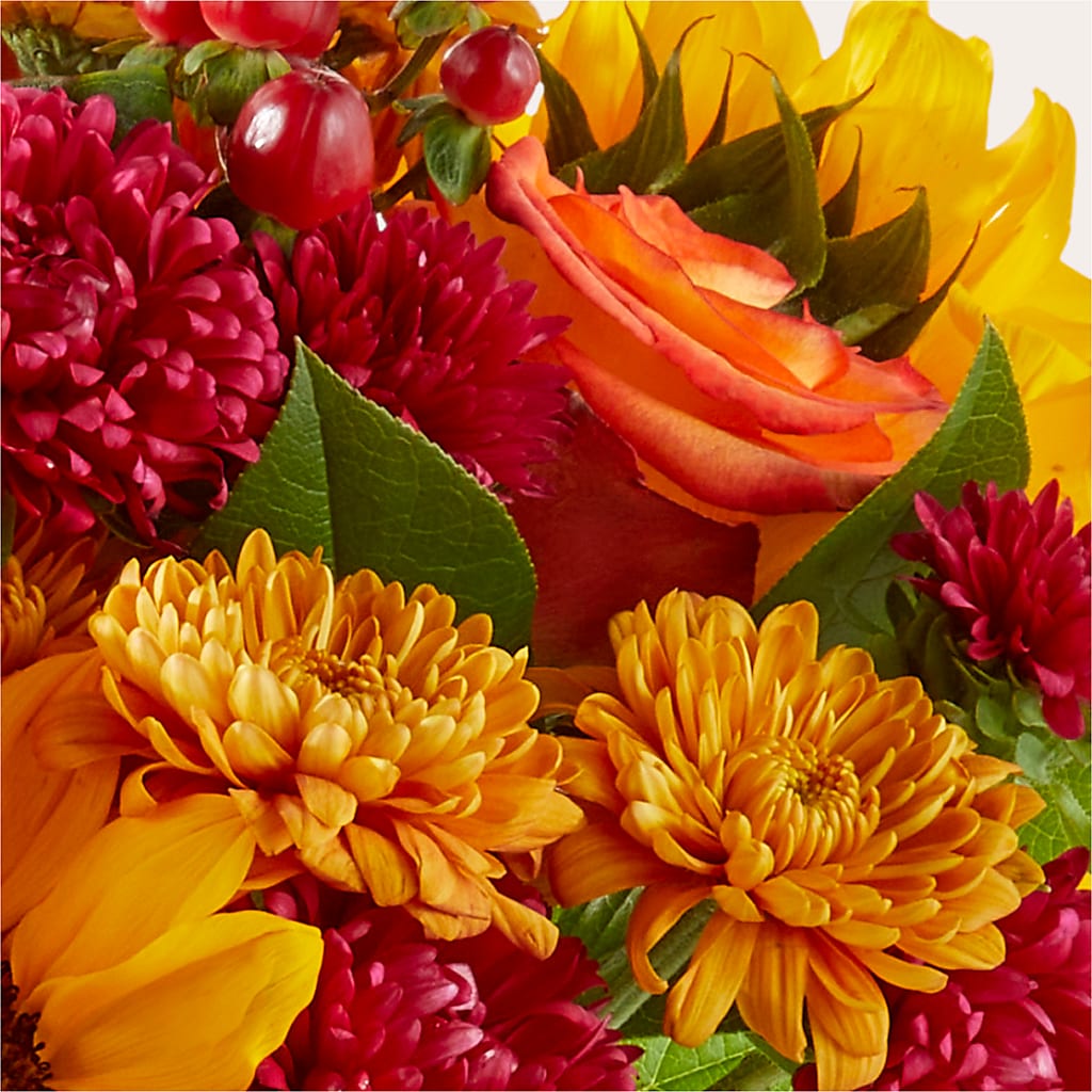 Sweater Season - A Florist Original – Fox Run Florist, Pinellas Park FL