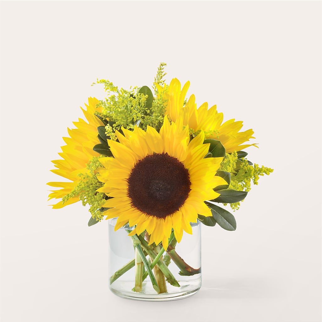 Beaming Sunflower Bouquet – Fox Run Florist, Pinellas Park FL