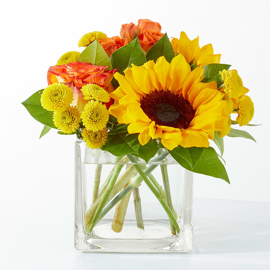 Picnic in the Park Bouquet – Fox Run Florist, Pinellas Park FL