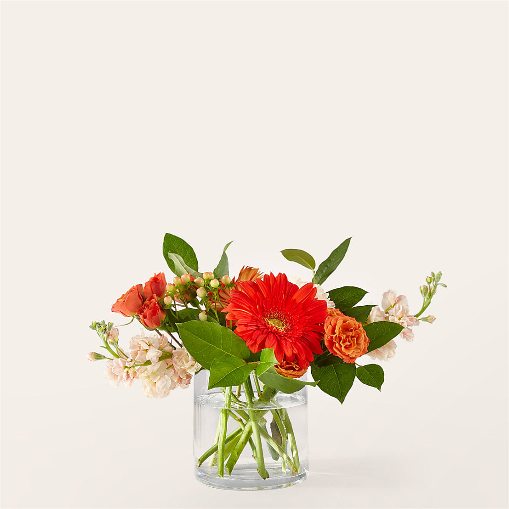 Paloma Please Bouquet – Fox Run Florist, Pinellas Park FL