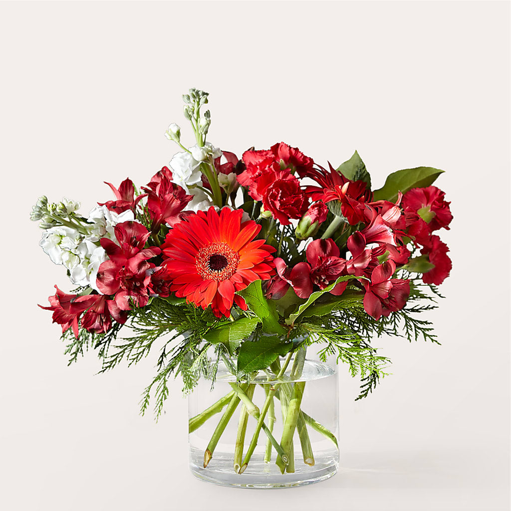 Holidaisy Bouquet – Fox Run Florist, Pinellas Park FL