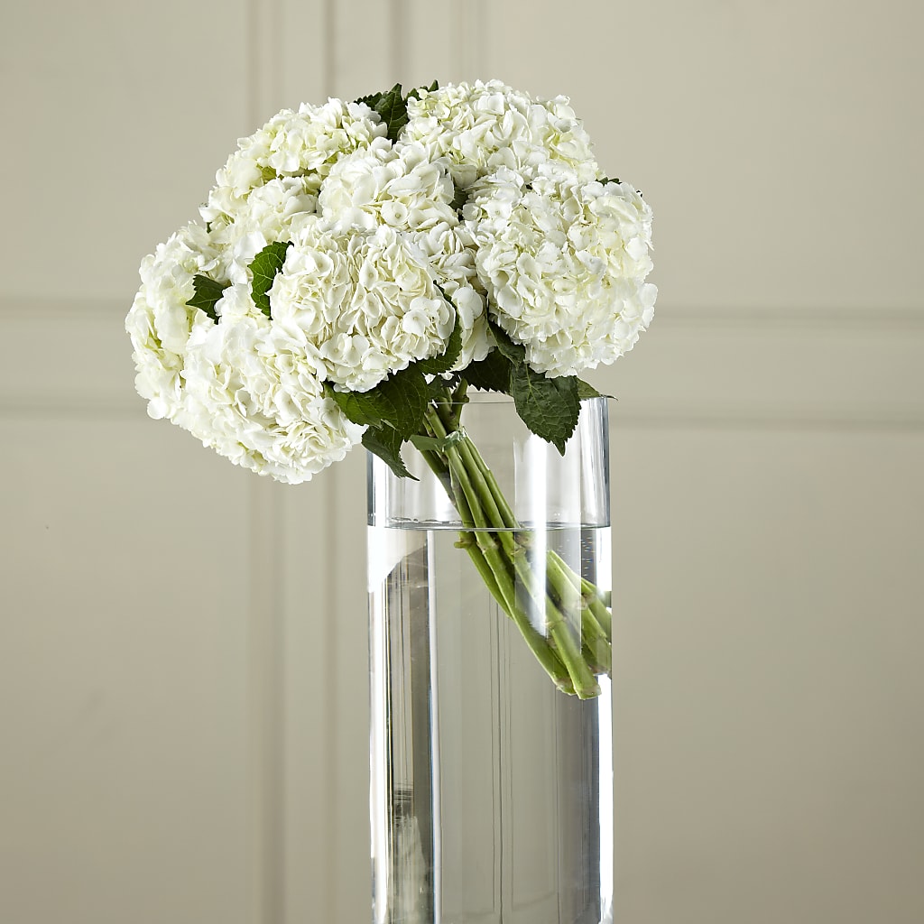 White Hydrangea Hand-Tied Bouquet – Fox Run Florist, Pinellas Park FL