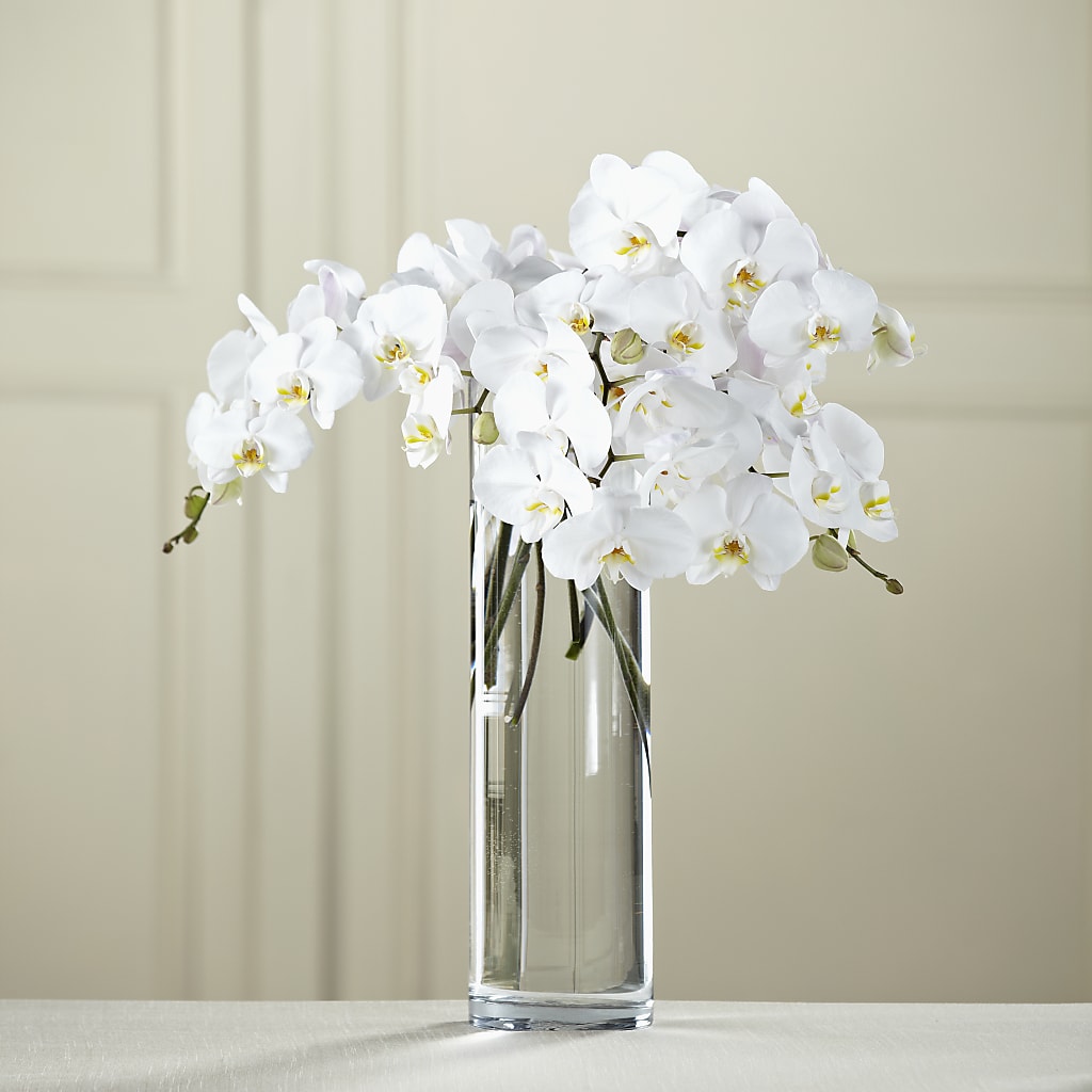 White Phalaenopsis Bouquet – Fox Run Florist, Pinellas Park FL