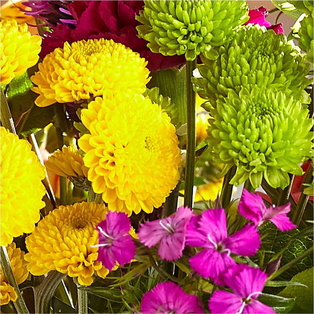 Bold & Bright – A Florist Original –  Fox Run Florist, Pinellas Park FL