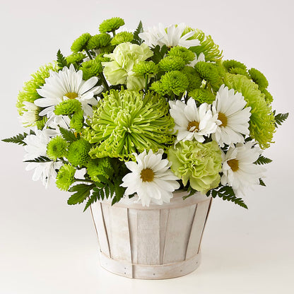 Lucky Charm Basket (Standard) –  Fox Run Florist, Pinellas Park FL
