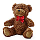 Adorable Plush Bear –  Fox Run Florist, Pinellas Park FL