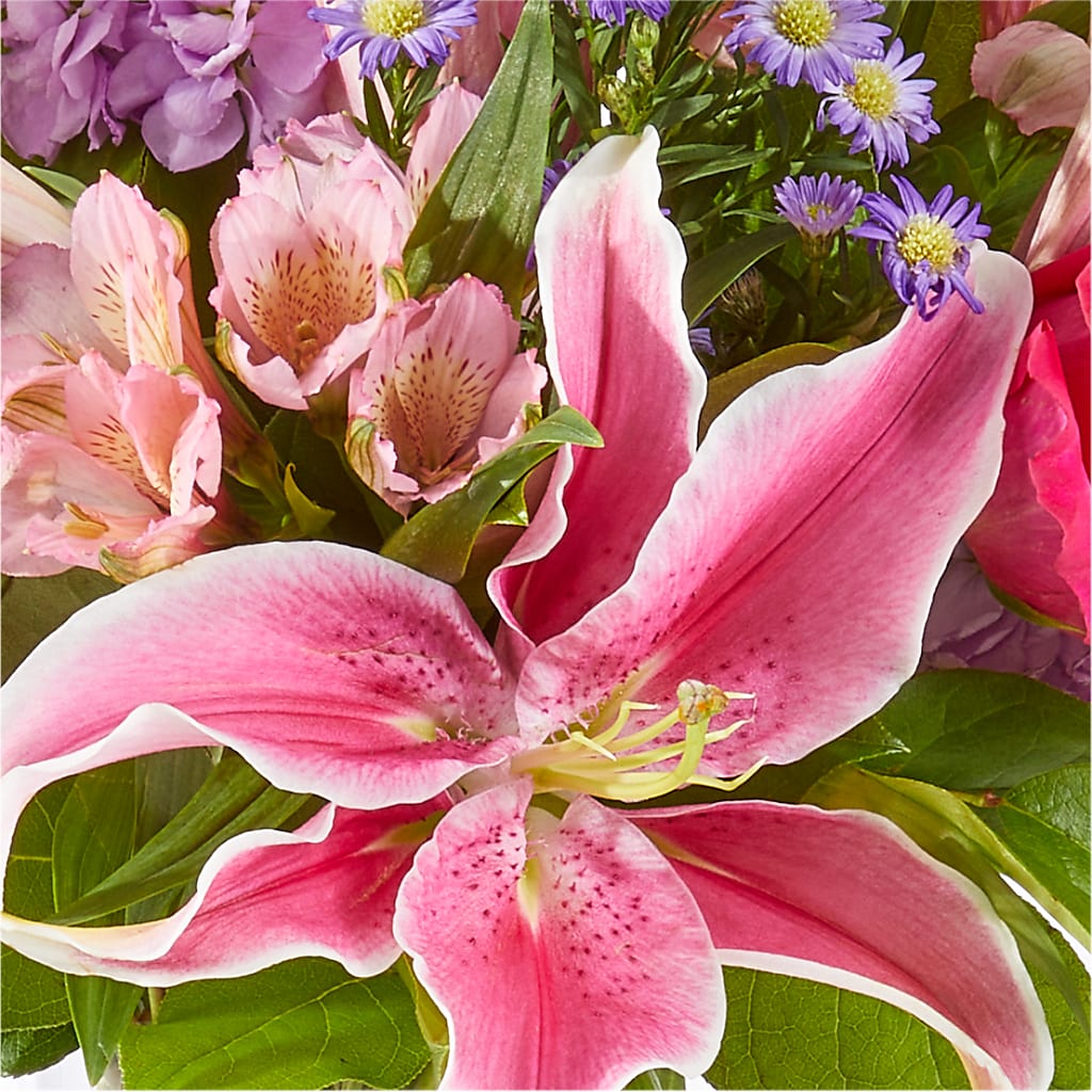 Written in the Stars Bouquet –  Fox Run Florist, Pinellas Park FL