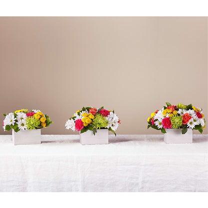 Sorbet Bouquet –  Fox Run Florist, Pinellas Park FL