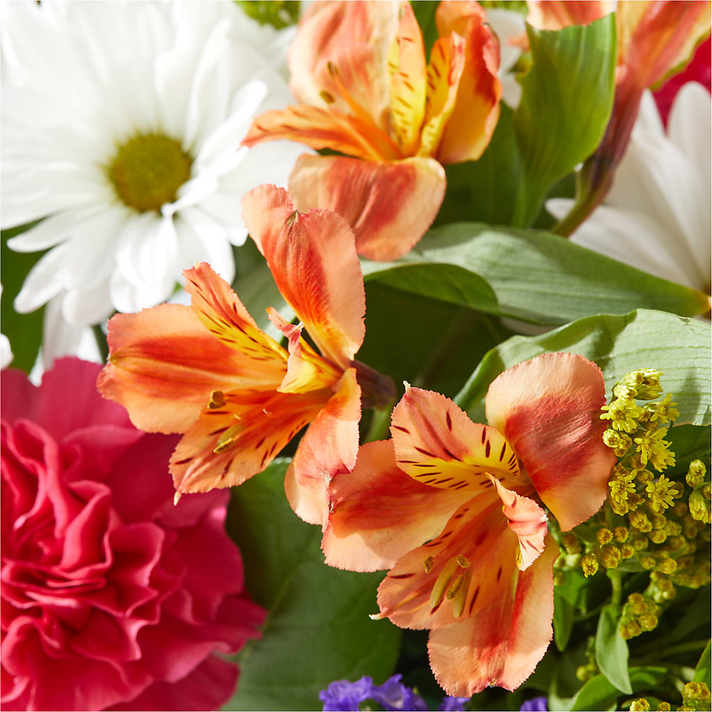 Oopsie Daisy Box Bouquet –  Fox Run Florist, Pinellas Park FL