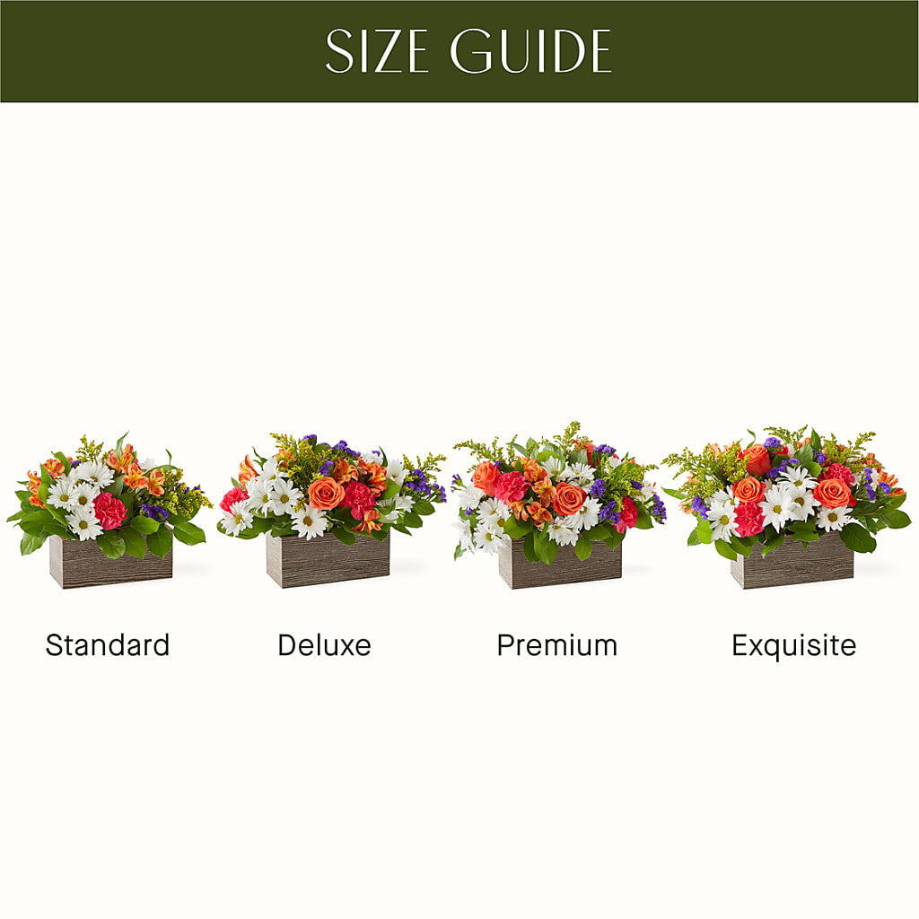 Oopsie Daisy Box Bouquet –  Fox Run Florist, Pinellas Park FL