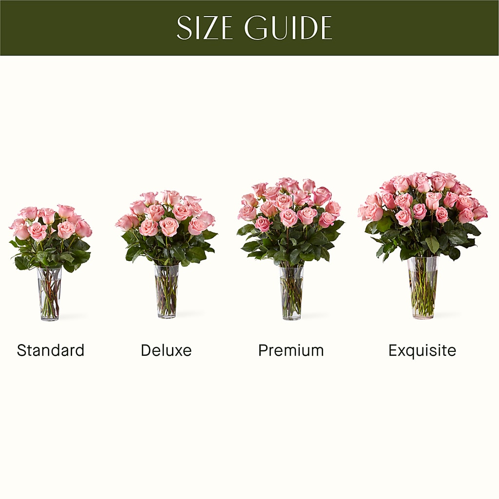 Long Stem Pink Rose Bouquet –  Fox Run Florist, Pinellas Park FL
