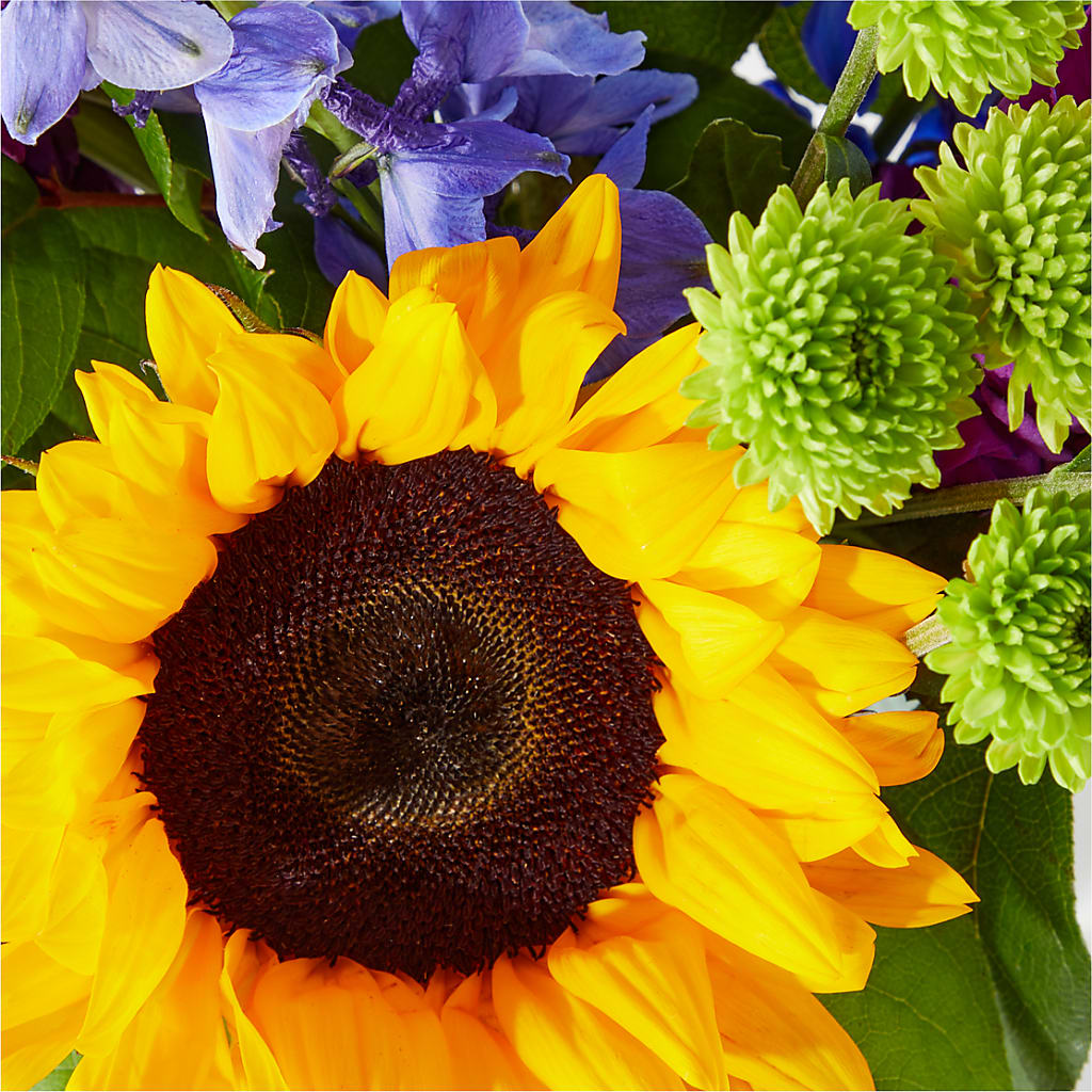 Catching Rays Bouquet –  Fox Run Florist, Pinellas Park FL