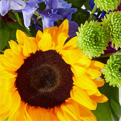 Catching Rays Bouquet –  Fox Run Florist, Pinellas Park FL