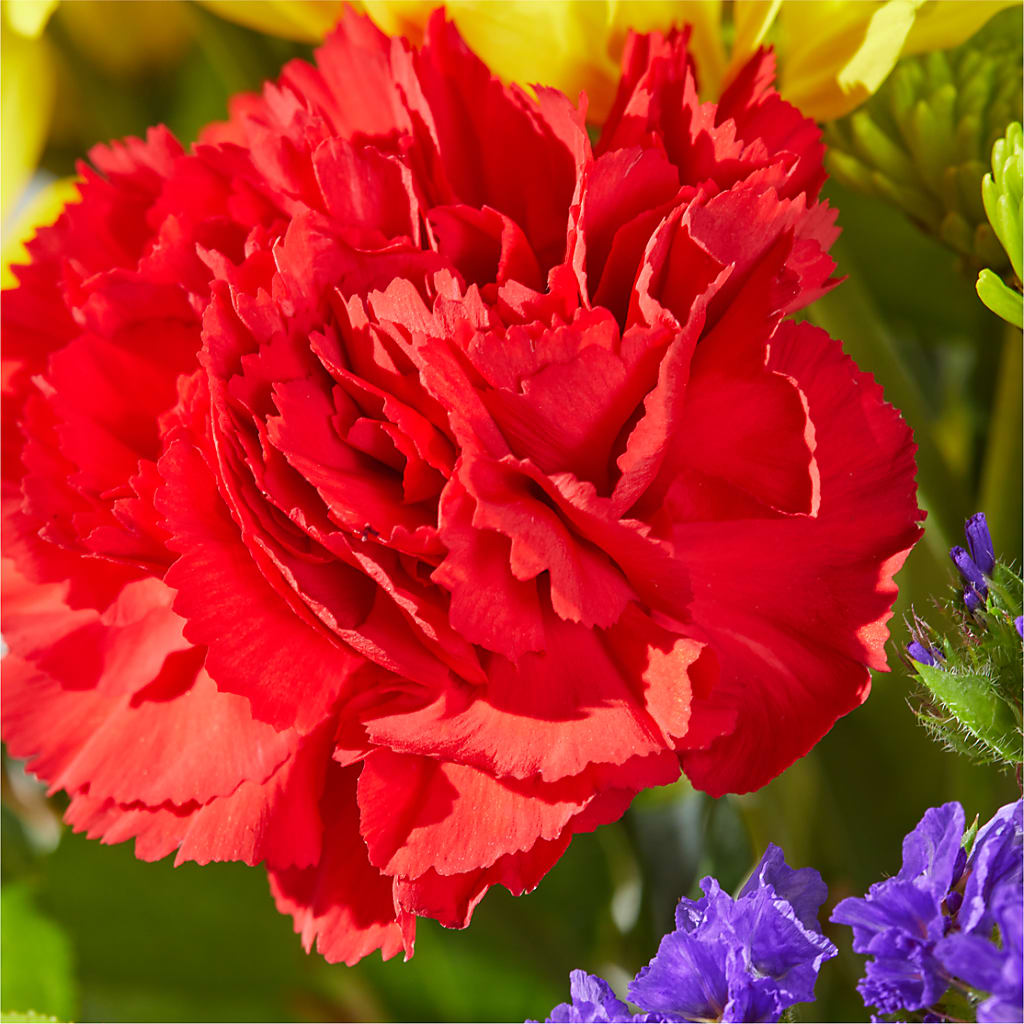 Brighter Days Bouquet –  Fox Run Florist, Pinellas Park FL