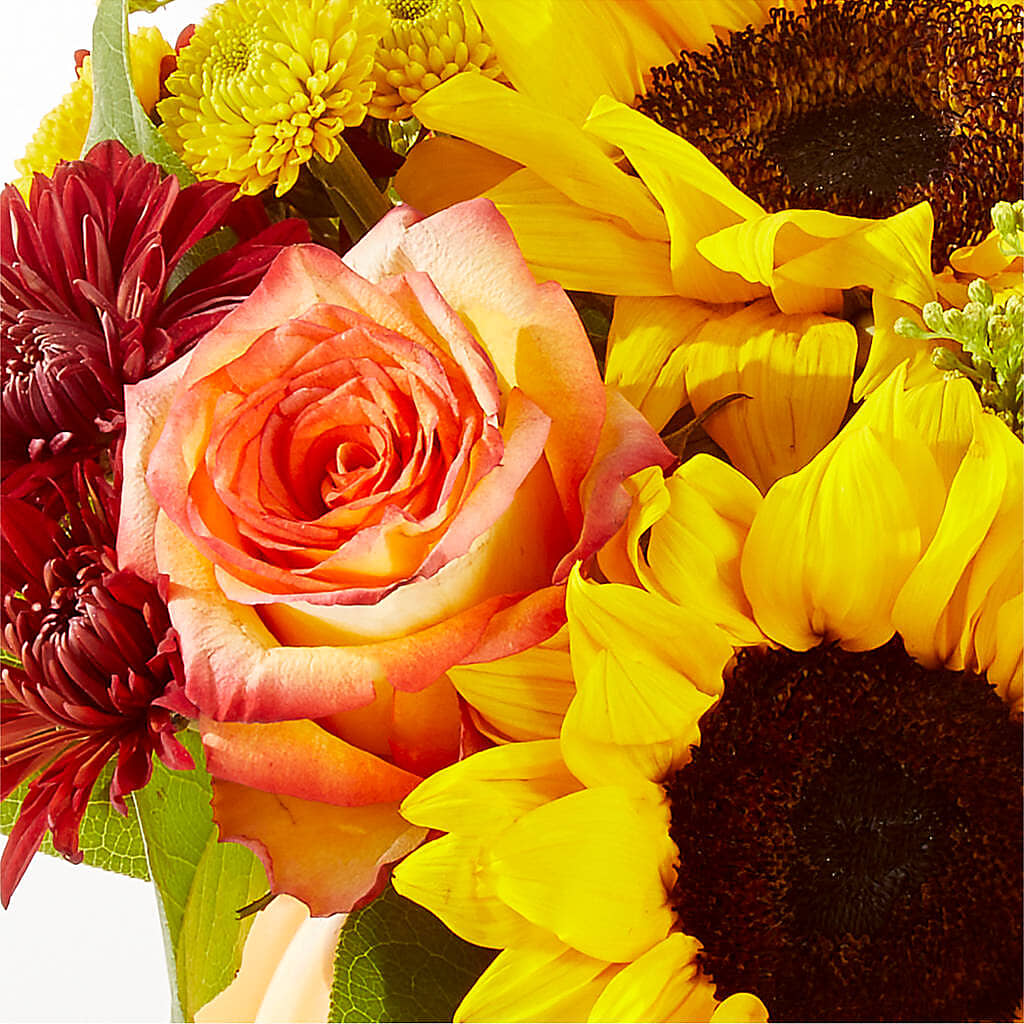 Golden Gourd Pumpkin Bouquet –  Fox Run Florist, Pinellas Park FL
