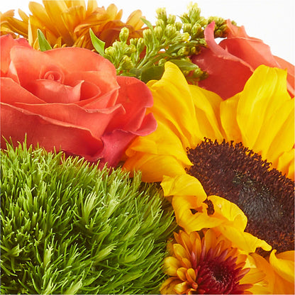 Farmer’s Market Stroll Bouquet –  Fox Run Florist, Pinellas Park FL