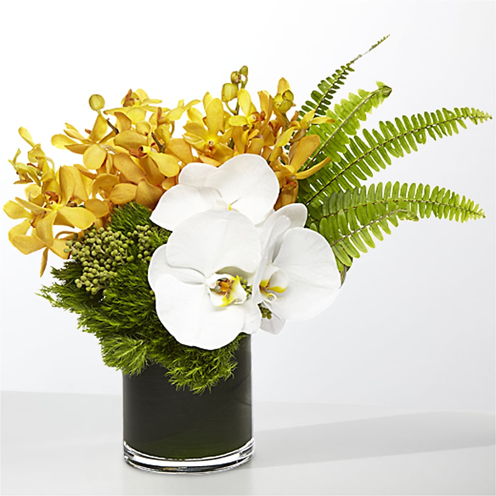 The Tropics –  Fox Run Florist, Pinellas Park FL