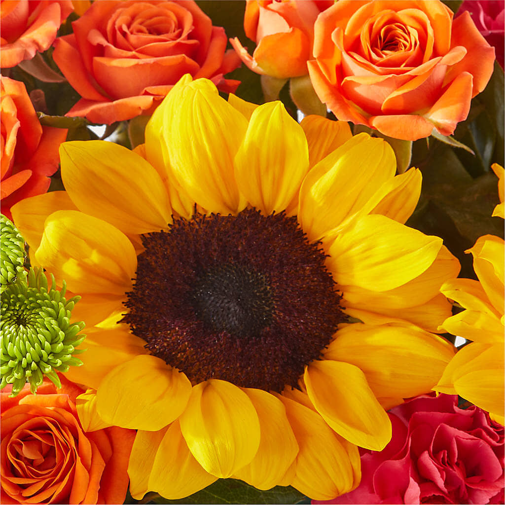 Sun-drenched Blooms Box Bouquet –  Fox Run Florist, Pinellas Park FL