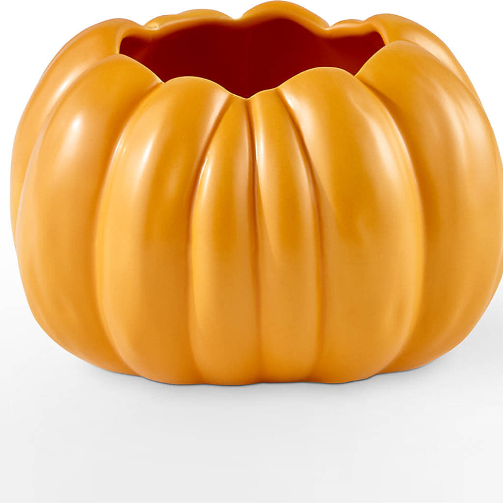 Golden Gourd Pumpkin Bouquet –  Fox Run Florist, Pinellas Park FL