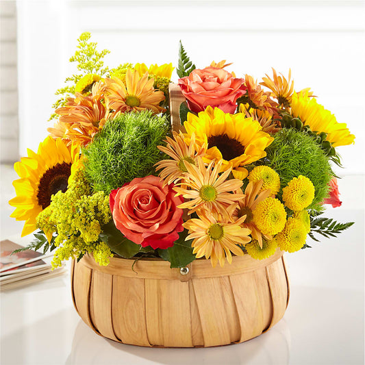 Harvest Sunflower Basket –  Fox Run Florist, Pinellas Park FL