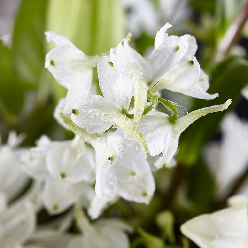 Classic Ivory – A Florist Original –  Fox Run Florist, Pinellas Park FL