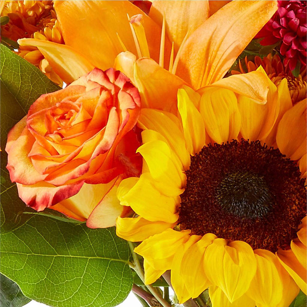 Fall Day Bouquet –  Fox Run Florist, Pinellas Park FL
