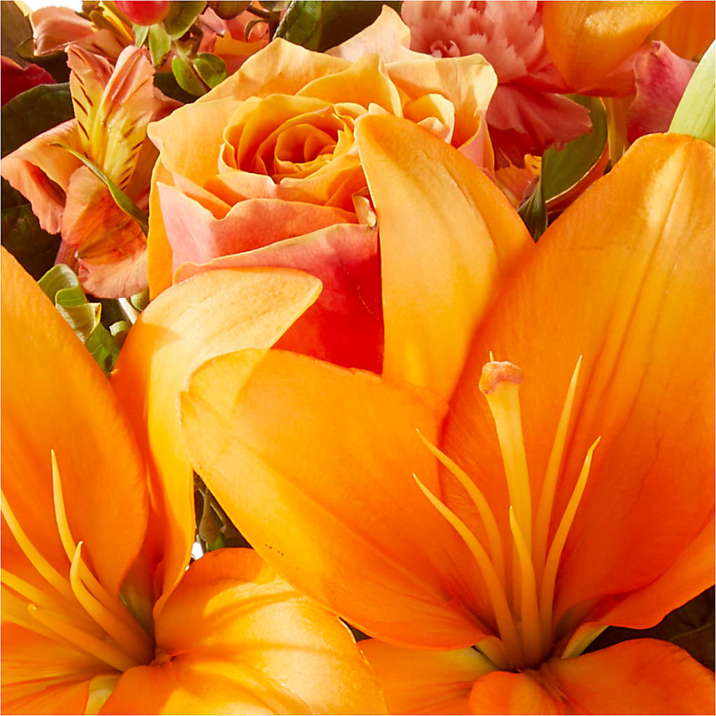 Afternoon Light Bouquet –  Fox Run Florist, Pinellas Park FL