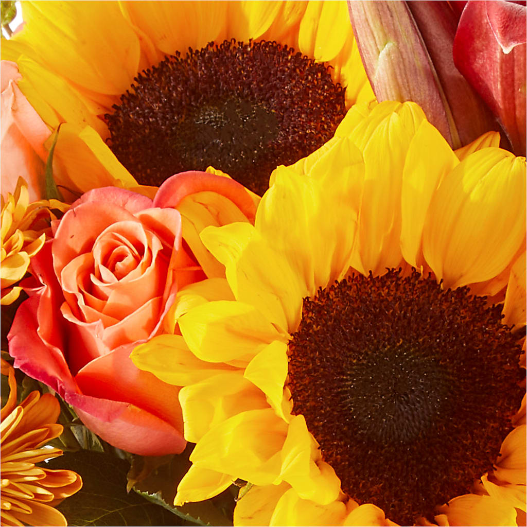 Acorn Lane Bouquet –  Fox Run Florist, Pinellas Park FL