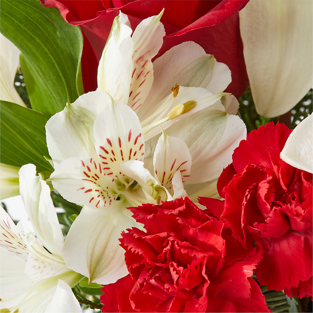 Holiday Season Bouquet –  Fox Run Florist, Pinellas Park FL