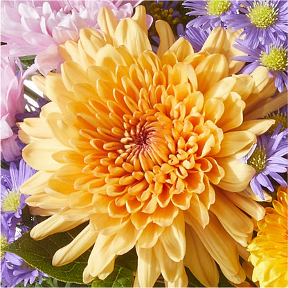 Countryside Bouquet –  Fox Run Florist, Pinellas Park FL