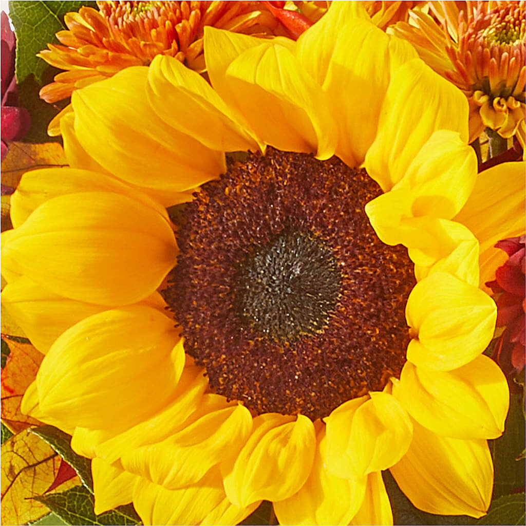Sunny Side Bouquet –  Fox Run Florist, Pinellas Park FL