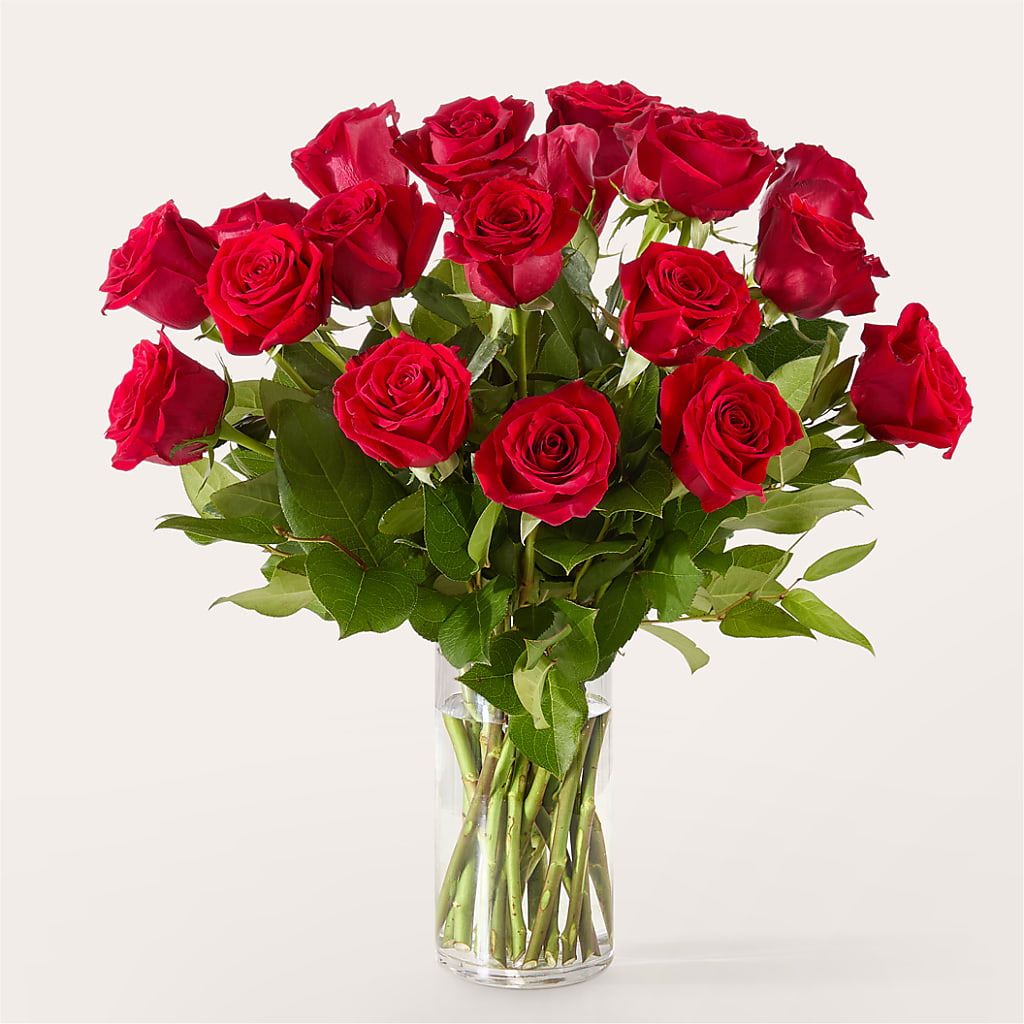 The One Red Rose Bouquet –  Fox Run Florist, Pinellas Park FL