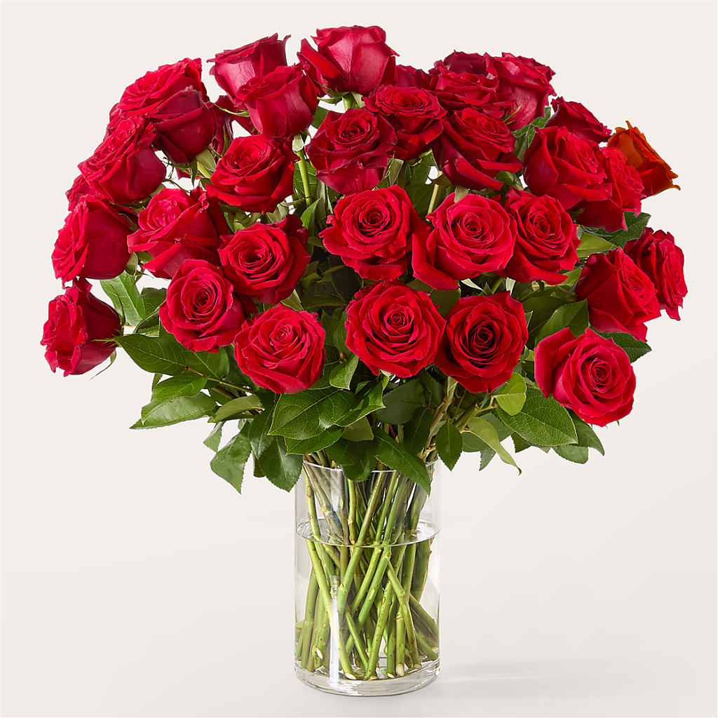 The One Red Rose Bouquet –  Fox Run Florist, Pinellas Park FL