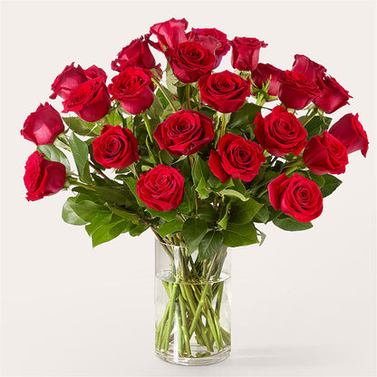 The One Red Rose Bouquet –  Fox Run Florist, Pinellas Park FL