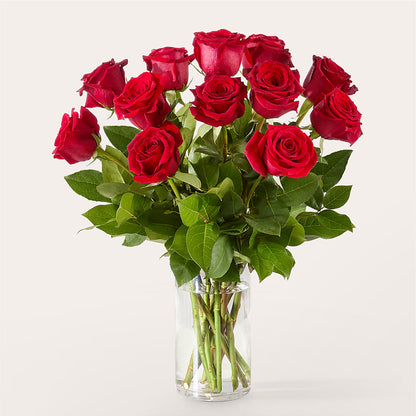 The One Red Rose Bouquet –  Fox Run Florist, Pinellas Park FL