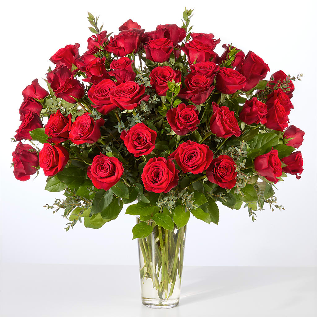 Forever Yours Fifty Stem Red Rose Bouquet –  Fox Run Florist, Pinellas Park FL
