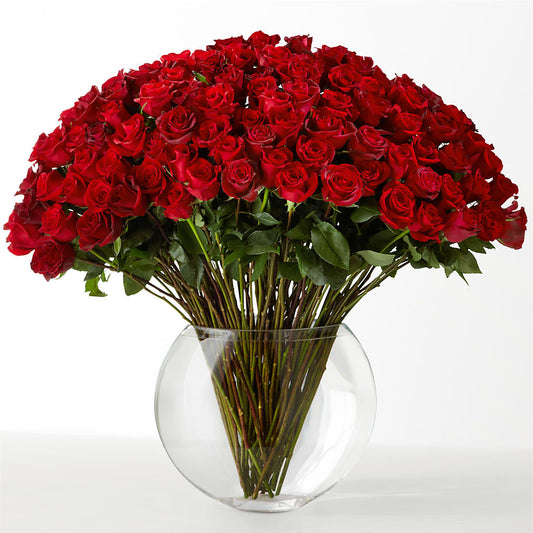 The Idealist –  Fox Run Florist, Pinellas Park FL