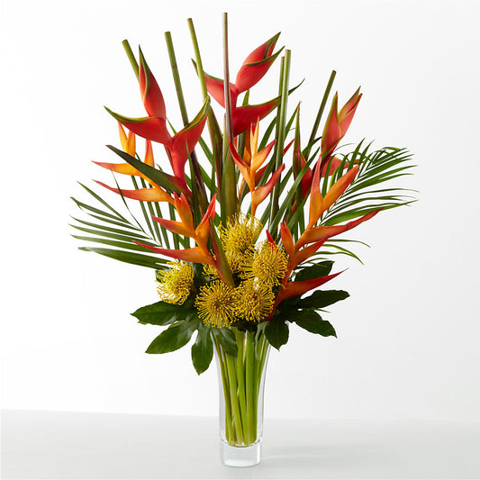 The Drama –  Fox Run Florist, Pinellas Park FL