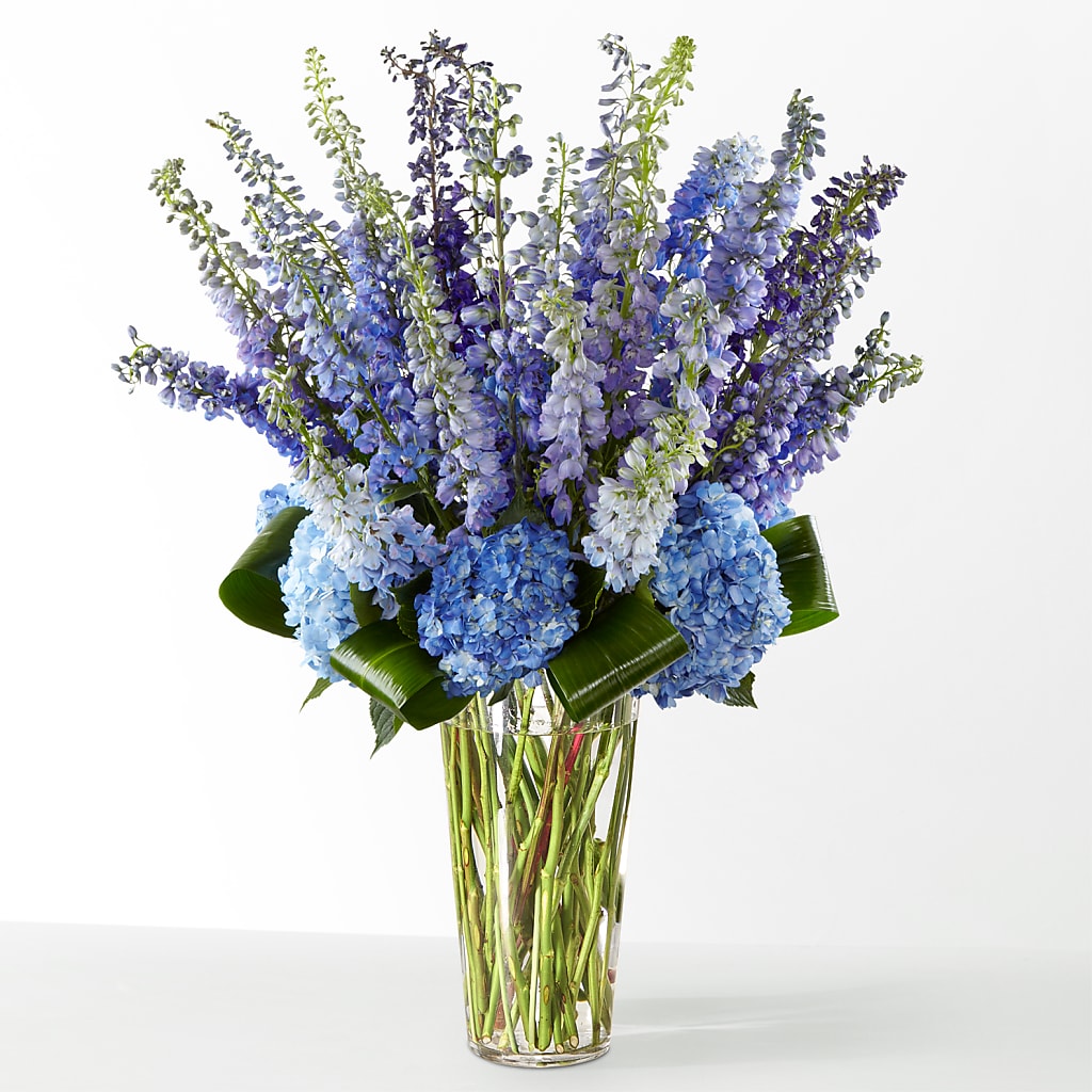 The Editorial –  Fox Run Florist, Pinellas Park FL