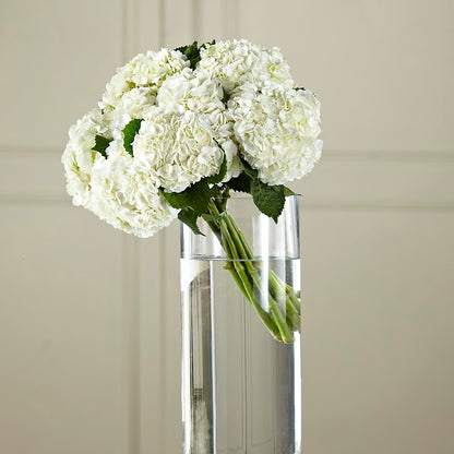 White Hydrangea Hand-Tied Bouquet –  Fox Run Florist, Pinellas Park FL