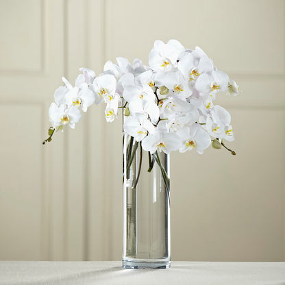 White Phalaenopsis Bouquet –  Fox Run Florist, Pinellas Park FL